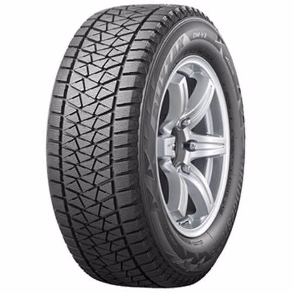 Bridgestone Blizzak DM-V2 225/55 R19 99T
